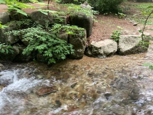 ひるがのでのグルキャン‼️ グループキャンプ りょっちーさんのキャンプブログ CAMPiii（キャンピー） -キャンプ専用SNS キャンプのすべてがここに集まる-