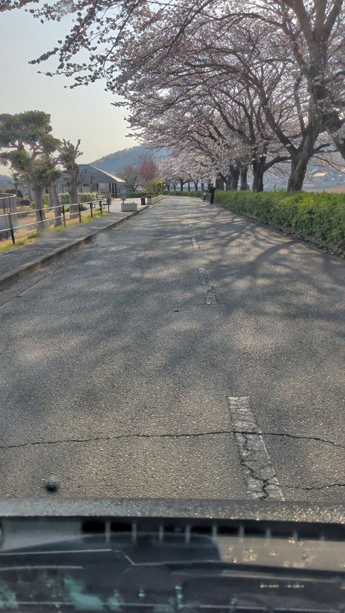 田代 中津川河川敷 ソロキャンプ フリーサイト オートサイト IZUIZUさんのキャンプブログ CAMPiii（キャンピー） -キャンプ専用SNS キャンプのすべてがここに集まる-