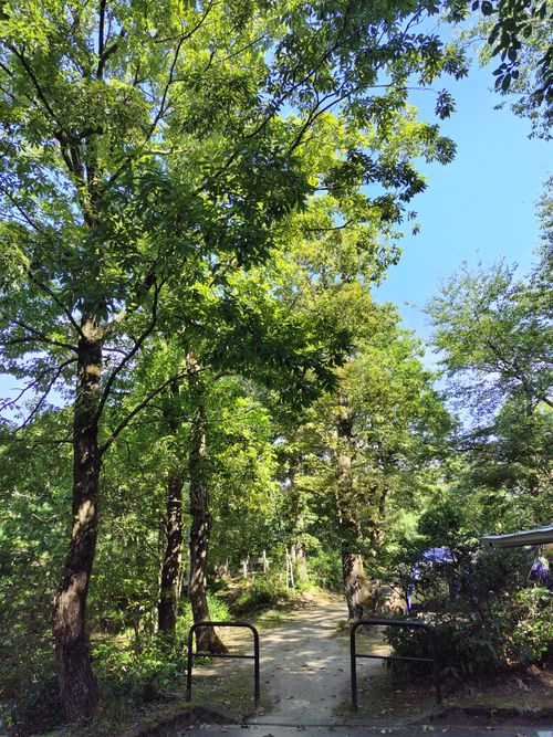 CAMPiii(キャンピー) セツさんのキャンプブログ 森林浴でボーっとするキャンプ うまみち森林公園