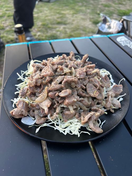 バックパックチャレンジ お台場海浜庭園キャンプ場 ソロキャンプ グループキャンプ フリーサイト Genさんのキャンプブログ CAMPiii（キャンピー） -キャンプ専用SNS キャンプのすべてがここに集まる-