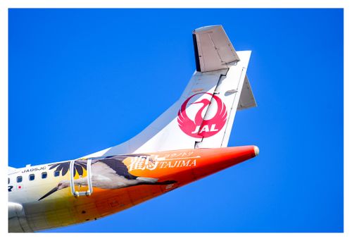 全国旅キャンプ第11弾は京都編 保津河川敷キャンプ場 ソロキャンプ ファミリーキャンプ グループキャンプ 区画サイト ENJOY THE OUTDOORSさんのキャンプブログ CAMPiii（キャンピー） -キャンプ専用SNS キャンプのすべてがここに集まる-