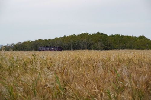 撮り鉄のデイキャンプ🏕️ 安平町ときわキャンプ場 ファミリーキャンプ 区画サイト Train Photographer TAKAさんのキャンプブログ CAMPiii（キャンピー） -キャンプ専用SNS キャンプのすべてがここに集まる-