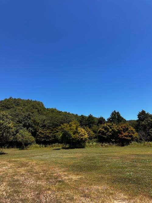 ソロでホラー小説読むの捗りすぎで草 ソロキャンプ フリーサイト ぼちさんのキャンプブログ CAMPiii(キャンピー) -キャンプ専用SNS キャンプのすべてがここに集まる-