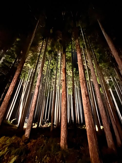 ご褒美ソロキャンプ。 平良ふれあいセンター 平良ベース ソロキャンプ オートサイト あやぴーさんのキャンプブログ CAMPiii（キャンピー） -キャンプ専用SNS キャンプのすべてがここに集まる-