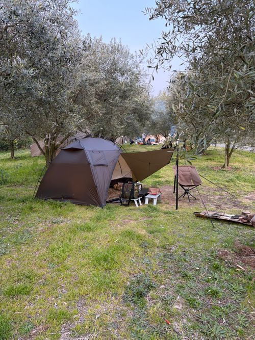 オリーブ畑で オキオリーブ ガーデン ソロキャンプ 区画サイト ゆうさんさんのキャンプブログ CAMPiii（キャンピー） -キャンプ専用SNS キャンプのすべてがここに集まる-