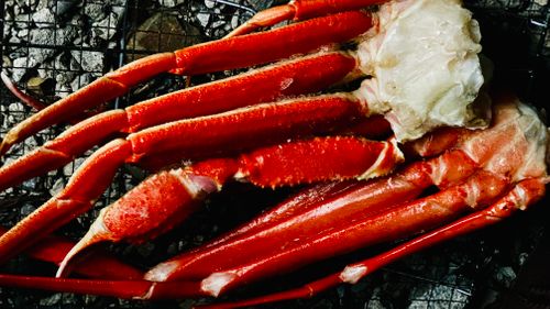 新幕デビュー　の巻 ソロキャンプ フリーサイト ちゃむ！さんのキャンプブログ CAMPiii（キャンピー） -キャンプ専用SNS キャンプのすべてがここに集まる-