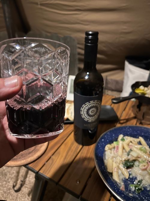 猫様と猫様に食われたパンと猫様に食われたパンを戴く下僕 大芦高原キャンプ場 ソロキャンプ フリーサイト おくさんさんのキャンプブログ CAMPiii（キャンピー） -キャンプ専用SNS キャンプのすべてがここに集まる-