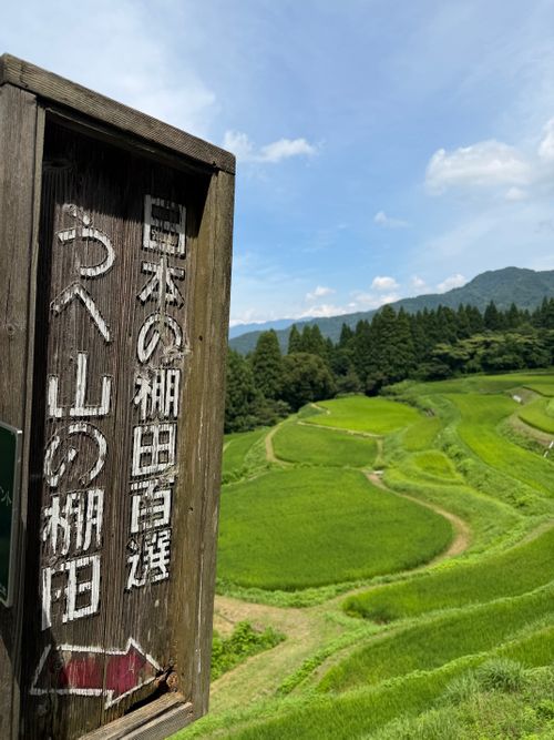 サマソロ2026 吉滝キャンプ場コテージ村 ソロキャンプ 区画サイト あやぴーさんのキャンプブログ CAMPiii（キャンピー） -キャンプ専用SNS キャンプのすべてがここに集まる-