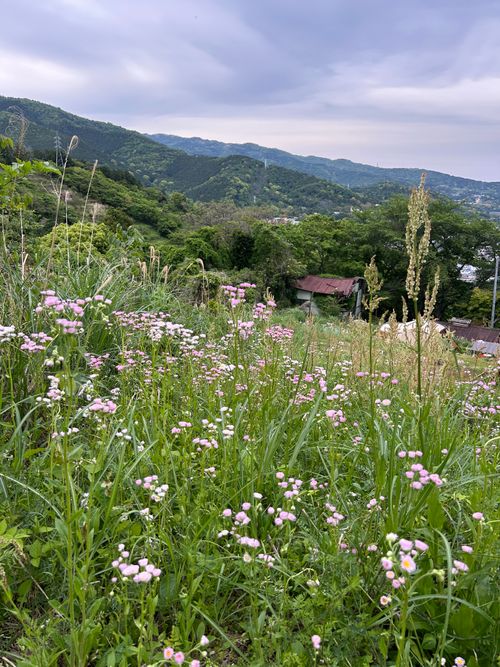 GWソロキャン堪能 GROVE camping hill ソロキャンプ フリーサイト Genさんのキャンプブログ CAMPiii（キャンピー） -キャンプ専用SNS キャンプのすべてがここに集まる-