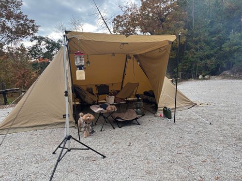 1年半ぶり！やっとやっとキャンプ！！ 昇仙峡オートキャンプ場 ファミリーキャンプ 区画サイト aozoraさんのキャンプブログ CAMPiii（キャンピー） -キャンプ専用SNS キャンプのすべてがここに集まる-