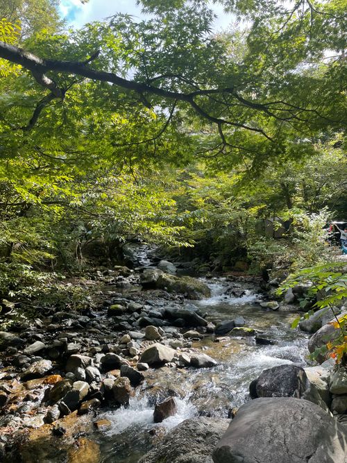 道志の森で過ごす週末、嫁さんと。Phot by スナさん 道志の森キャンプ場 グループキャンプ ファミリーキャンプ フリーサイト もるがんさんのキャンプブログ CAMPiii(キャンピー) -キャンプ専用SNS キャンプのすべてがここに集まる-
