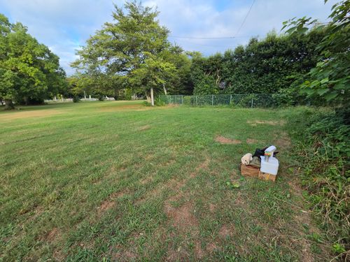 新しい生活、新しい拠点 関宿あおぞら広場 ソロキャンプ 区画サイト やんさんのキャンプブログ CAMPiii（キャンピー） -キャンプ専用SNS キャンプのすべてがここに集まる-