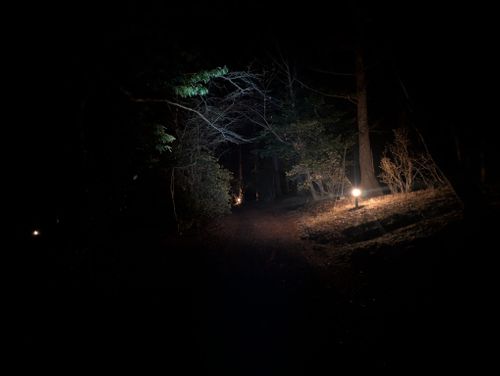 静寂な森のなかで(後篇) 小田急山中湖フォレストコテージ ファミリーキャンプ 好々爺🇯🇵さんのキャンプブログ CAMPiii（キャンピー） -キャンプ専用SNS キャンプのすべてがここに集まる-