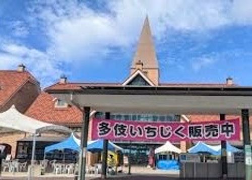 神在月に神の遣い《きなこ》と一緒に…出雲参拝おじおばうさキャン△ in 夢の森うさぎキャンプ場 〜 CAMP NO. うさぎ森林公園 夢の森うさぎ ファミリーキャンプ グループキャンプ 区画サイト おじキャン△さんのキャンプブログ CAMPiii(キャンピー) -キャンプ専用SNS キャンプのすべてがここに集まる-