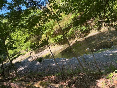 CAMPiii(キャンピー) ぺちゃさんのキャンプブログ ほうれんぼうの森🌳 東部森林公園 ほうれんぼうの森キャンプ場