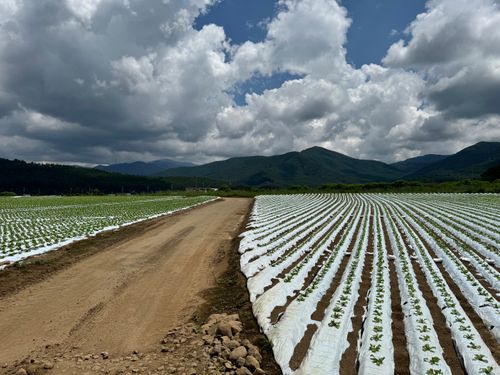 受付がオシャレすぎるキャンプ場でした 青木の平キャンプ場 グループキャンプ 区画サイト OYAKATAさんのキャンプブログ CAMPiii（キャンピー） -キャンプ専用SNS キャンプのすべてがここに集まる-