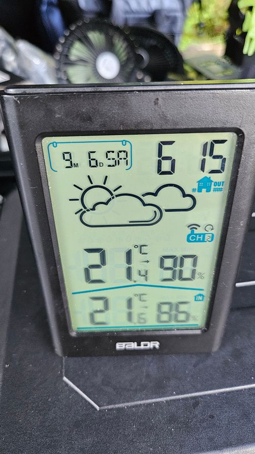 とりあえず250踏んどく(標高約910m)(オートサイト区画、2区画6人6台ー2620円/人) 本栖湖いこいの森キャンプ場 グループキャンプ 区画サイト オートサイト IZUIZUさんのキャンプブログ CAMPiii(キャンピー) -キャンプ専用SNS キャンプのすべてがここに集まる-