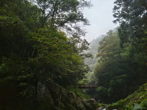 渓流と雨の避暑キャンプ🏕 匹見峡レストパーク ソロキャンプ 区画サイト ＪＩＭＭＹさんのキャンプブログ CAMPiii（キャンピー） -キャンプ専用SNS キャンプのすべてがここに集まる-