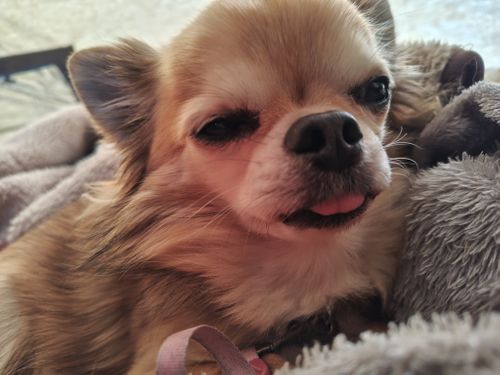 有休取ったけど午前中は仕事してからの完ソロ FOME BASE ソロキャンプ フリーサイト けい＠福島県さんのキャンプブログ CAMPiii（キャンピー） -キャンプ専用SNS キャンプのすべてがここに集まる-