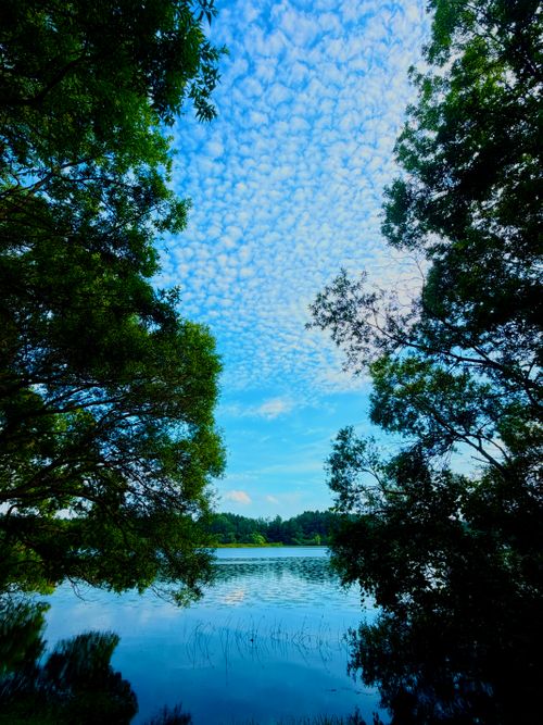 鱗と麒麟と朧 芦野公園オートキャンプ場 ソロキャンプ フリーサイト sea-bさんのキャンプブログ CAMPiii（キャンピー） -キャンプ専用SNS キャンプのすべてがここに集まる-