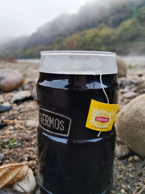 ゴールゼロを失った日 山八キャンプ場 ソロキャンプ フリーサイト おっとまんSさんのキャンプブログ CAMPiii（キャンピー） -キャンプ専用SNS キャンプのすべてがここに集まる-