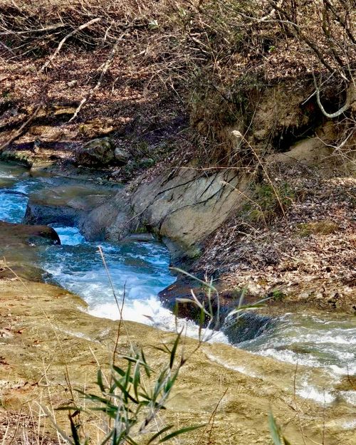 自然と一体！サウナと小川で「ととのう」贅沢時間 OUSE Camp＆Sauna TUULI（トゥーリ） Oniyomeさんのキャンプブログ CAMPiii（キャンピー） -キャンプ専用SNS キャンプのすべてがここに集まる-