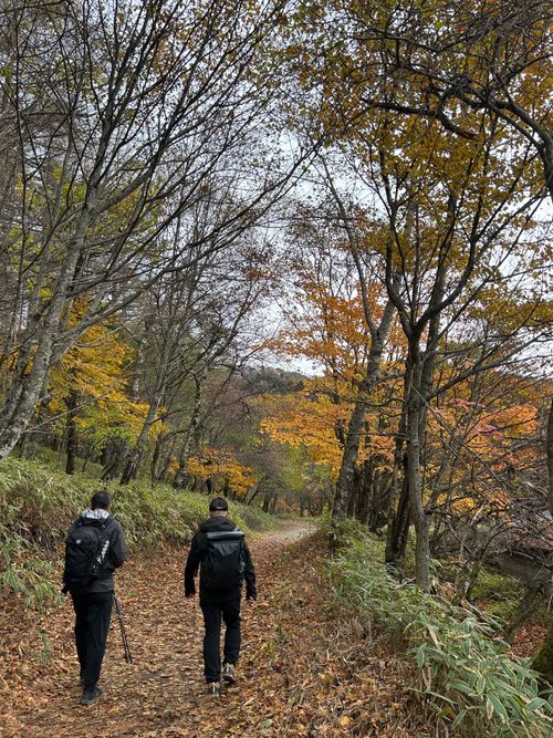 誘われて大菩薩嶺(自分は車中泊😆) 大菩薩嶺 ソロキャンプ グループキャンプ Genさんのキャンプブログ CAMPiii（キャンピー） -キャンプ専用SNS キャンプのすべてがここに集まる-
