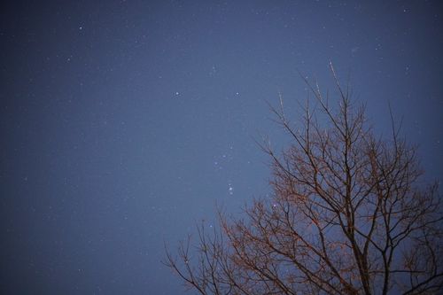 いつの間にか沢山揃ったソログル2連泊 ともえ川Park グループキャンプ 区画サイト 週末スナフキンさんのキャンプブログ CAMPiii（キャンピー） -キャンプ専用SNS キャンプのすべてがここに集まる-