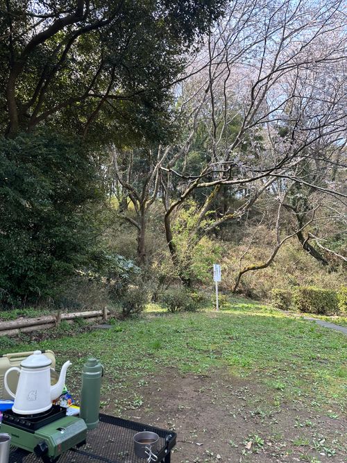 柏　手賀の丘公園キャンプ 手賀の丘公園 グループキャンプ ken-Tさんのキャンプブログ CAMPiii（キャンピー） -キャンプ専用SNS キャンプのすべてがここに集まる-