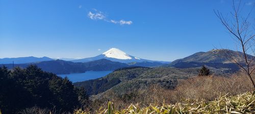 車中泊旅🚗  RVパーク 伊豆黒根岬 ソロキャンプ 夢見るクマさんのキャンプブログ CAMPiii（キャンピー） -キャンプ専用SNS キャンプのすべてがここに集まる-