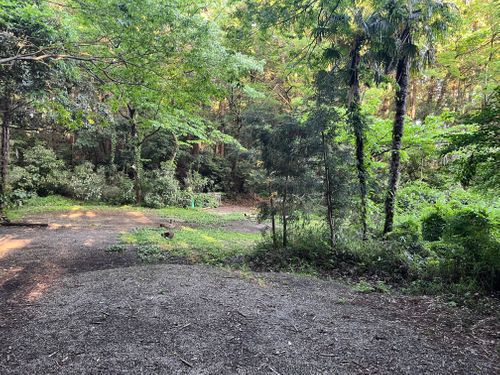 こちらも2回目ハマキャンプ⛺️ 自然館泉ベリーキャンプ場 ソロキャンプ 区画サイト よスさんのキャンプブログ CAMPiii（キャンピー） -キャンプ専用SNS キャンプのすべてがここに集まる-