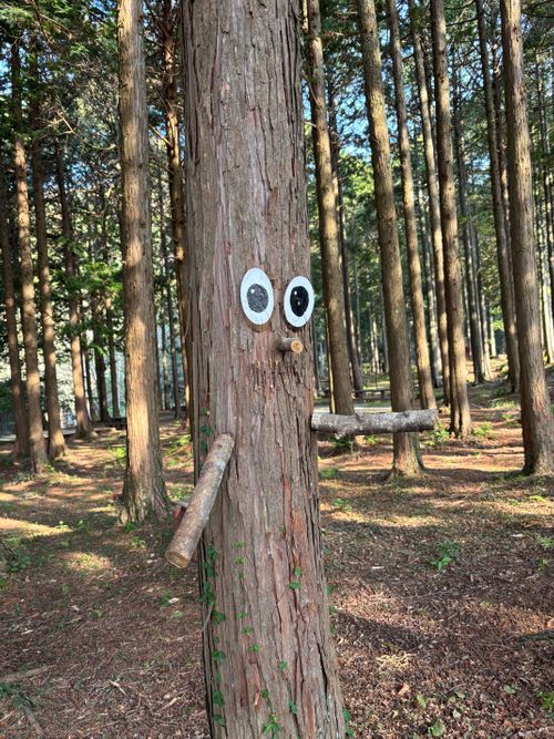 中伊豆へ！ LScamp中伊豆 ソロキャンプ オートサイト 区画サイト marpyさんのキャンプブログ CAMPiii（キャンピー） -キャンプ専用SNS キャンプのすべてがここに集まる-