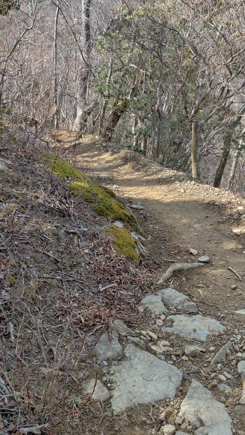 Bカップぐらいが良い 秩父市 ソロキャンプ グループキャンプ 区画サイト オートサイト IZUIZUさんのキャンプブログ CAMPiii（キャンピー） -キャンプ専用SNS キャンプのすべてがここに集まる-