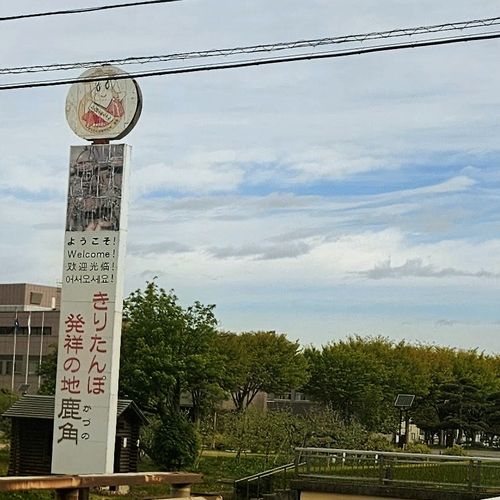 俺のぶるぅふぉれすと(๑&middot;̀㉨&middot;́ฅ 宇樽部キャンプ場 ソロキャンプ フリーサイト くまくまさんのキャンプブログ CAMPiii（キャンピー） -キャンプ専用SNS キャンプのすべてがここに集まる-
