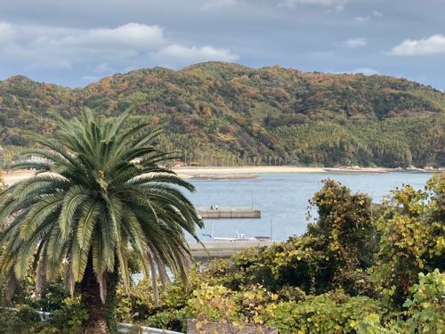 2泊キャンプ✨ 片添ケ浜オートキャンプ場 ファミリーキャンプ 区画サイト オートサイト masaさんのキャンプブログ CAMPiii（キャンピー） -キャンプ専用SNS キャンプのすべてがここに集まる-