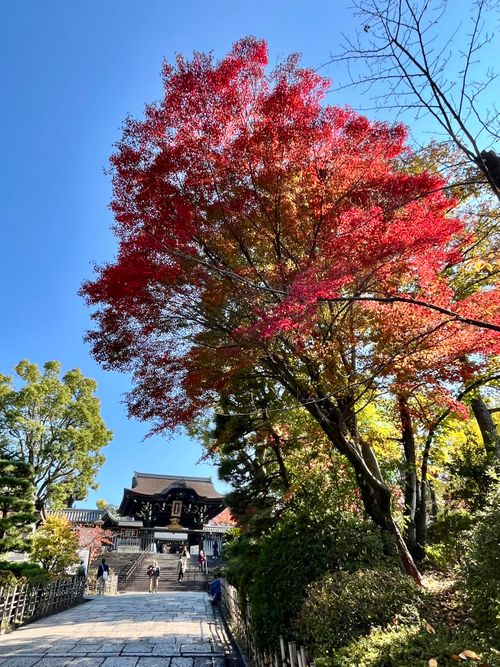 2025.11.16〜19 マイアミ浜オートキャンプ場 akemi.09.02さんのキャンプブログ CAMPiii（キャンピー） -キャンプ専用SNS キャンプのすべてがここに集まる-