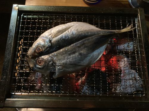 2泊キャンプ✨ 片添ケ浜オートキャンプ場 ファミリーキャンプ 区画サイト オートサイト masaさんのキャンプブログ CAMPiii（キャンピー） -キャンプ専用SNS キャンプのすべてがここに集まる-