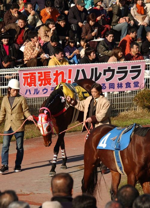 CAMPiii（キャンピー） IZUIZUさんのキャンプブログ キャンプ行けない時の励みになったので共有 日本