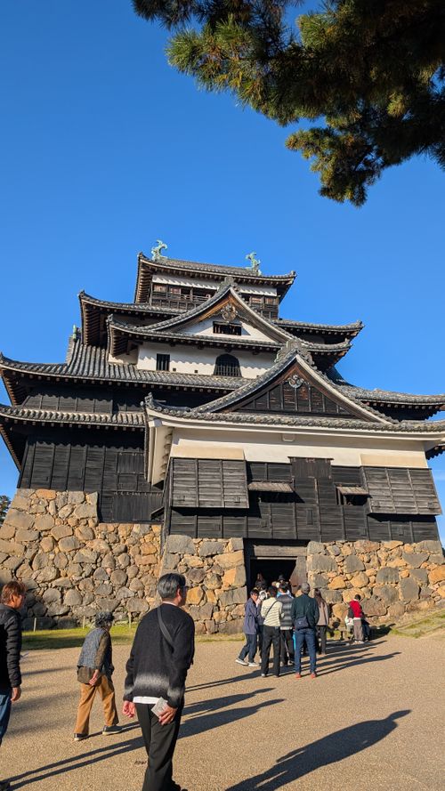 中国地方遠征キャンプ🏕️島根編 うさぎ森林公園 夢の森うさぎ ソロキャンプ 区画サイト オートサイト ヒゲキャンさんのキャンプブログ CAMPiii（キャンピー） -キャンプ専用SNS キャンプのすべてがここに集まる-