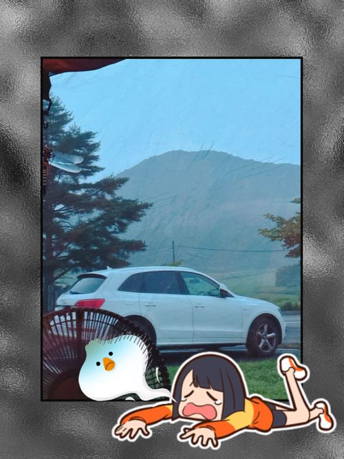 真夏の2泊3日！二日酔いと向日葵とフリーマーケット【2泊目】 クマさんキャンプ場 Oniyomeさんのキャンプブログ CAMPiii（キャンピー） -キャンプ専用SNS キャンプのすべてがここに集まる-