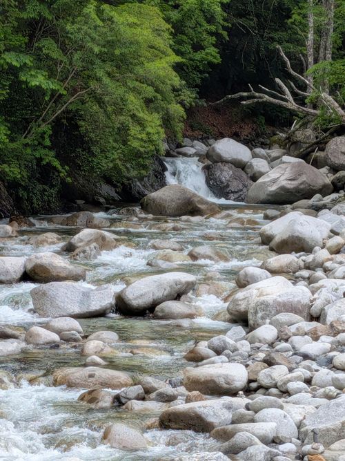 台風をスルーして 木曽駒冷水キャンプ公園 ソロキャンプ フリーサイト いんちさんのキャンプブログ CAMPiii（キャンピー） -キャンプ専用SNS キャンプのすべてがここに集まる-