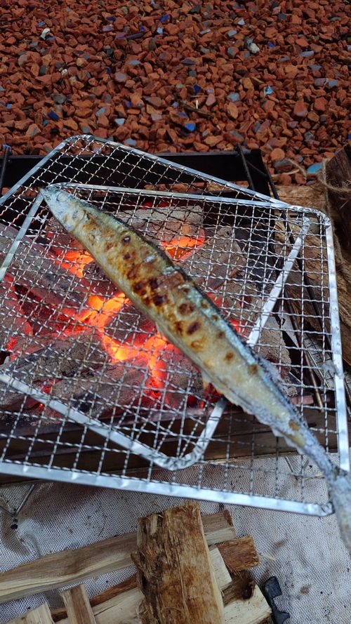 結果、ネコキャンプでした｜火打の森キャンプ場 火打の森キャンプ場 ソロキャンプ 区画サイト hare75さんのキャンプブログ CAMPiii（キャンピー） -キャンプ専用SNS キャンプのすべてがここに集まる-