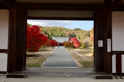 秋の彩りに癒されたキャンプ 天竺キャンプ場 ソロキャンプ フリーサイト yoshiさんのキャンプブログ CAMPiii（キャンピー） -キャンプ専用SNS キャンプのすべてがここに集まる-