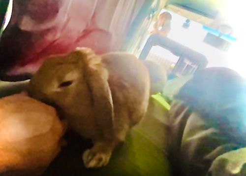 仕事に託け&hellip;KINAKOでお初のおじうさ車中泊キャン△ in めかり公園 〜 CAMP NO.178 和布刈公園 ソロキャンプ ファミリーキャンプ キャンピングカー おじキャン△さんのキャンプブログ CAMPiii（キャンピー） -キャンプ専用SNS キャンプのすべてがここに集まる-