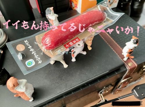 テント生活 終盤の終盤 鈴木さんさんのキャンプブログ CAMPiii（キャンピー） -キャンプ専用SNS キャンプのすべてがここに集まる-