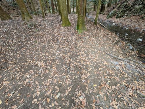 ひとりミリキャンプ。 大阪府 ソロキャンプ フリーサイト ぞのさんさんのキャンプブログ CAMPiii（キャンピー） -キャンプ専用SNS キャンプのすべてがここに集まる-