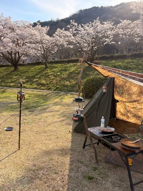 春爛漫🌸Camp♪♪ 宮川内公園 ファミリーキャンプ フリーサイト camping roll♪さんのキャンプブログ CAMPiii（キャンピー） -キャンプ専用SNS キャンプのすべてがここに集まる-