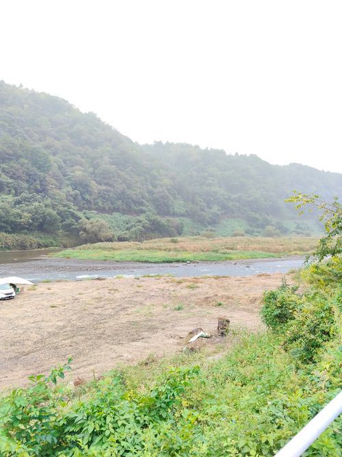 失敗ばかりでもええんよ 山八キャンプ場 ソロキャンプ フリーサイト おっとまんSさんのキャンプブログ CAMPiii（キャンピー） -キャンプ専用SNS キャンプのすべてがここに集まる-