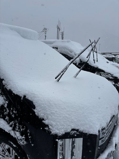 ゲレンデ内でマジの雪中初体験。 365 Green Village グループキャンプ フリーサイト あやぴーさんのキャンプブログ CAMPiii（キャンピー） -キャンプ専用SNS キャンプのすべてがここに集まる-