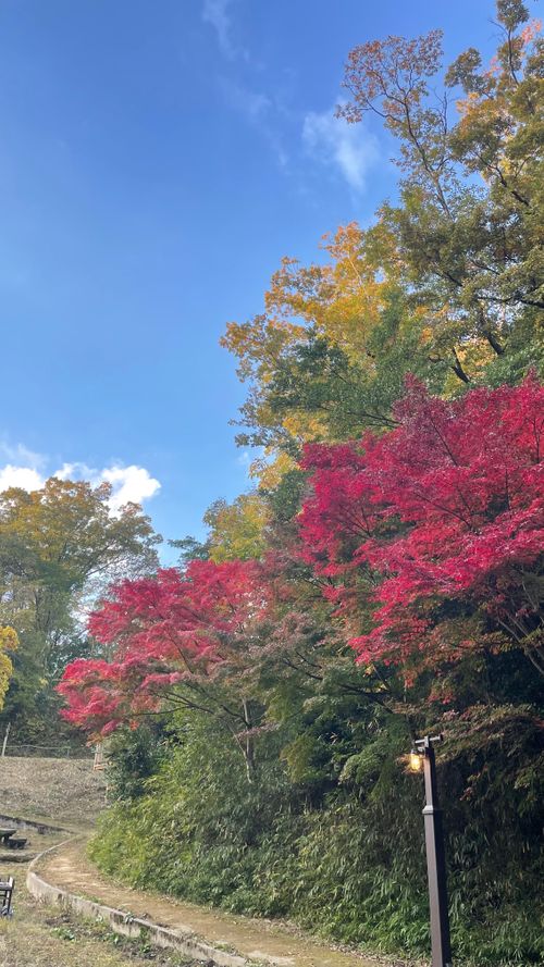東大阪の夜景キャンプ！ 東大阪市立野外活動センター by RECAMP ファミリーキャンプ 区画サイト フォレキャンさんのキャンプブログ CAMPiii（キャンピー） -キャンプ専用SNS キャンプのすべてがここに集まる-